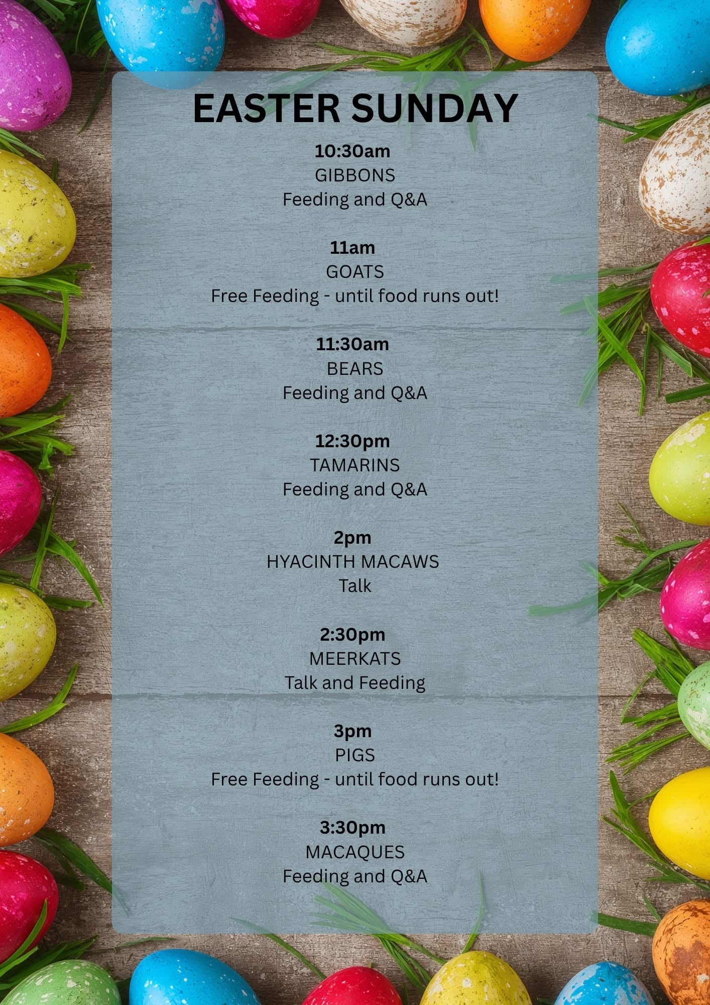 Easter Sunday set to bring animal feeds, keeper talks and family fun