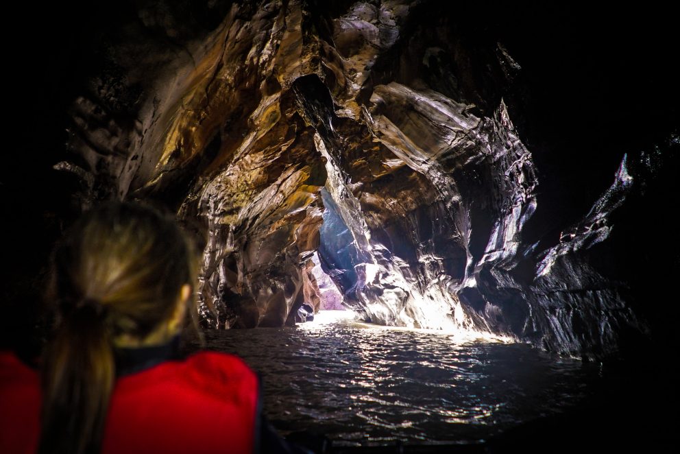 ArbroathCliffTours9