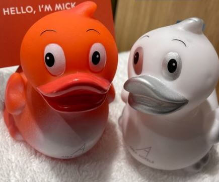 Apex ducks