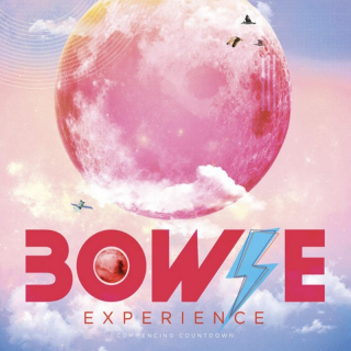 Bowie Experience 7 image 15688 tn