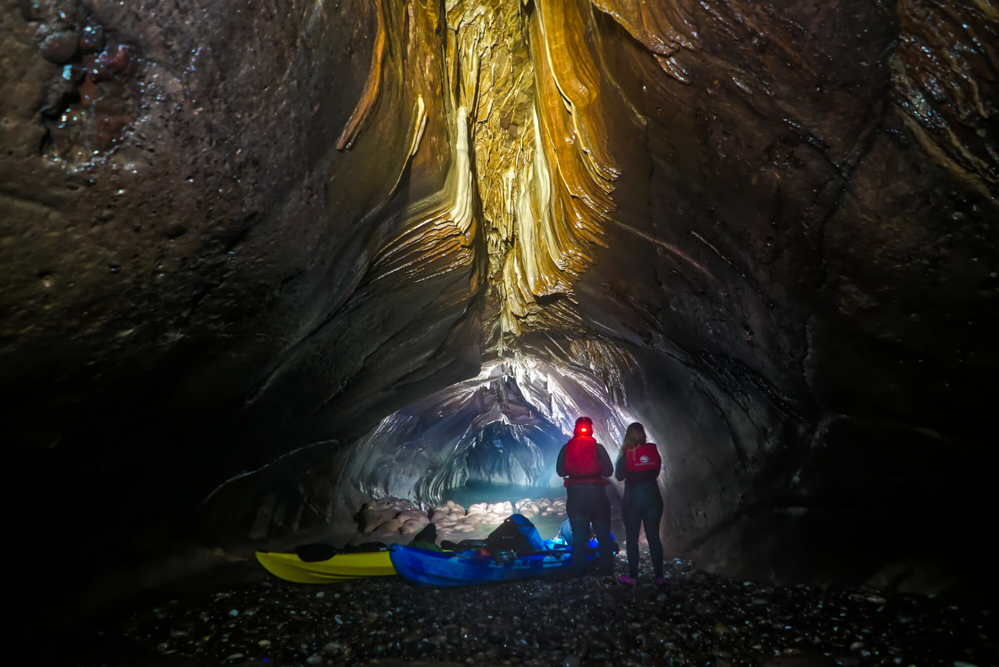 Arbroath Cliff Tours