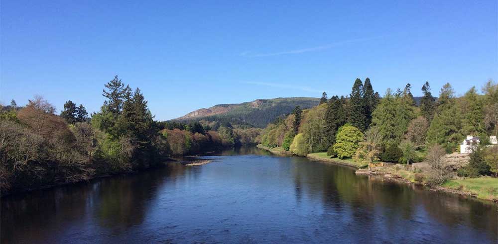 Dunkeld House Tree Trail