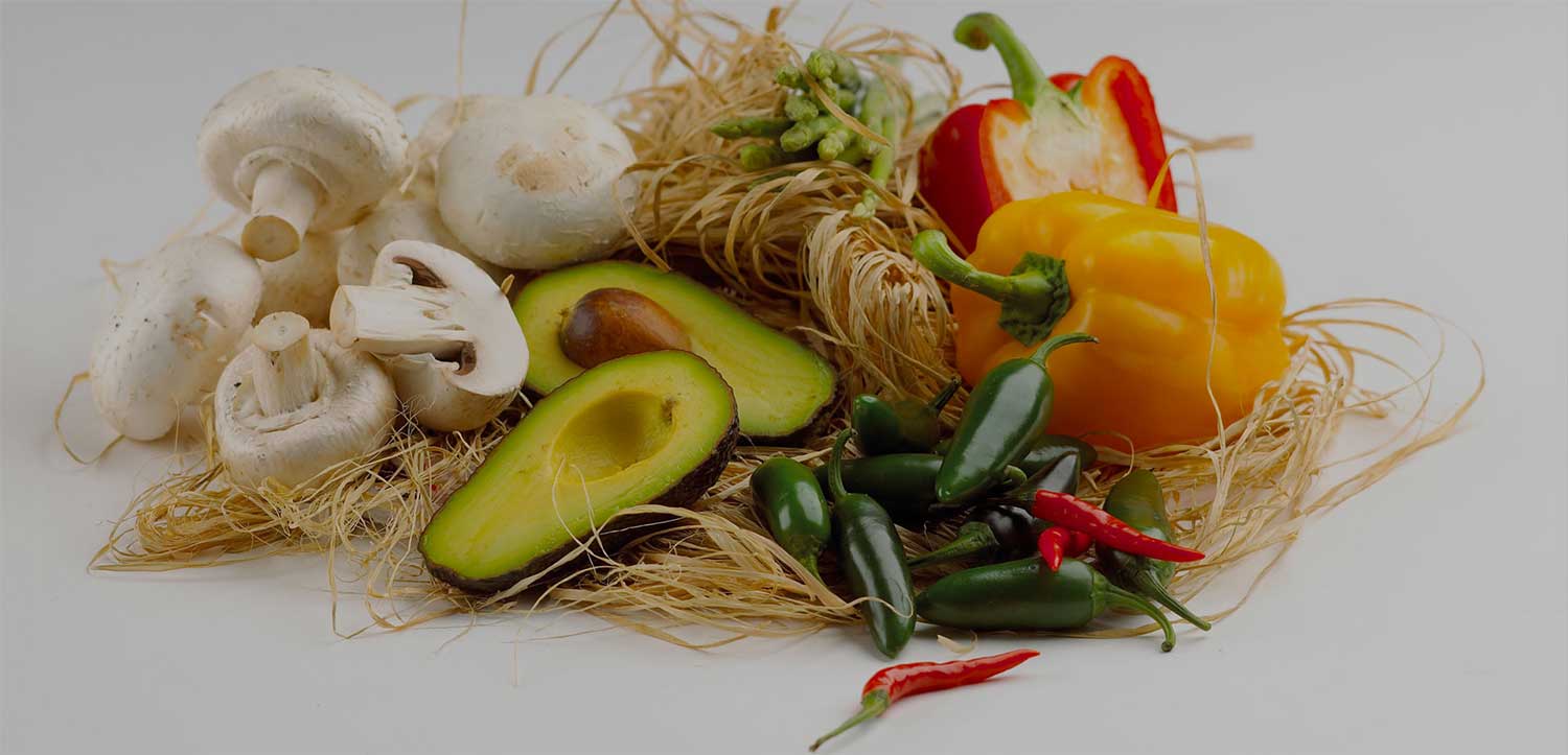 Mexican Grill Dundee