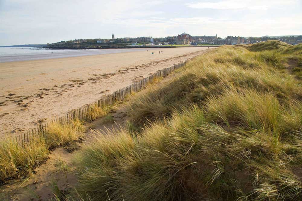 St Andrews West Sands Beach